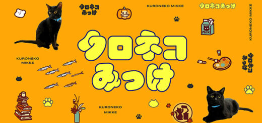ヤマト運輸の「クロネコみっけ」トップスライド