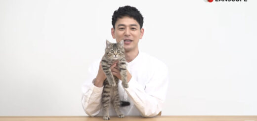 「LANSCOPE」のCMに出演した妻夫木聡さんと子猫のかつお君