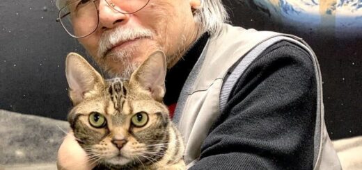 松本零士先生と愛猫ミーくん（四代目）