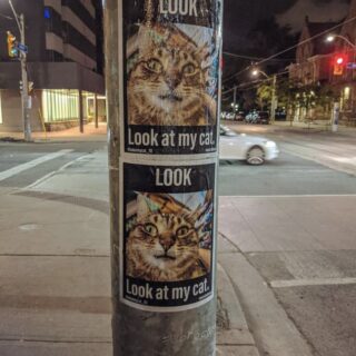 トロントの街中に掲示されている「Look at my cat」ポスター