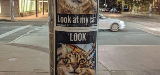 トロントの街中に掲示されている「Look at my cat」ポスター