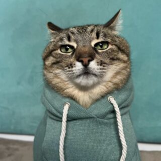 1年前にウクライナからモナコに避難したステパン君