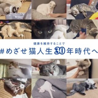 マルカン「AIM30」CM