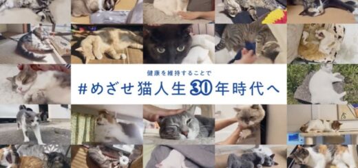 マルカン「AIM30」CM