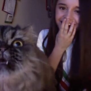 飼い主さんに負けじと熱唱するマクシミノ君