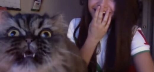 飼い主さんに負けじと熱唱するマクシミノ君