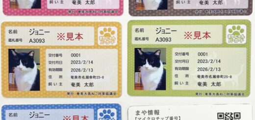 奄美大島5市町村で発行される「まやにゃんバーカード」