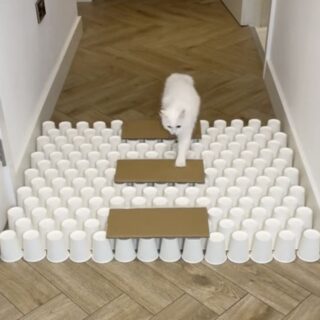 TikTokのチャレンジ動画が大人気のミアちゃん