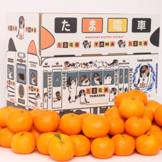 貴志川線「沿線みかん」