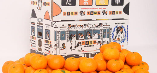 貴志川線「沿線みかん」