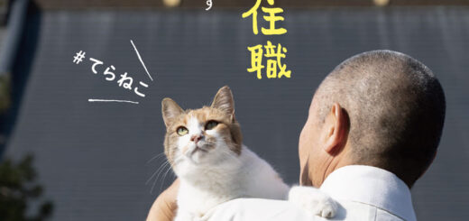 6匹の猫と住職 あるがままに暮らす那須の長楽寺