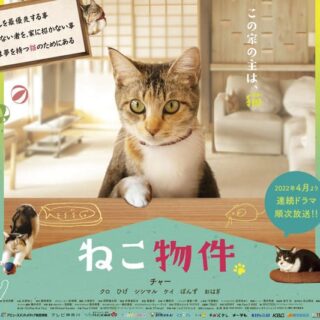 ドラマ「ねこ物件」エイプリルフールの1DAY限定ジャック