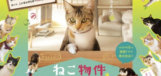 ドラマ「ねこ物件」エイプリルフールの1DAY限定ジャック