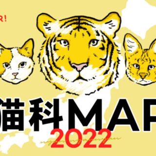 猫科MAP 2022