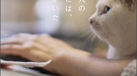 NHKネコメンタリー『猫も、杓子も。』
