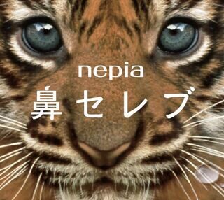 ネピア 鼻セレブティシュ ネコ科動物パッケージ