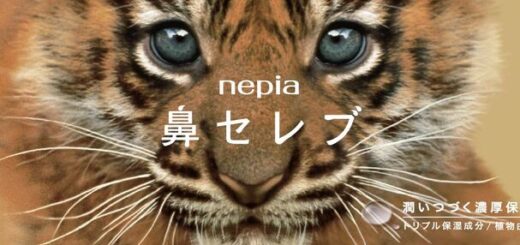 ネピア 鼻セレブティシュ ネコ科動物パッケージ