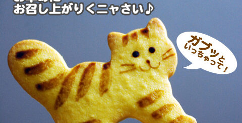 オッコクッキーズ