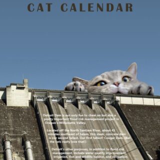 アメリカ陸軍工兵司令部が制作した2023年の猫カレンダー