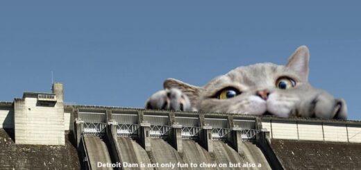 アメリカ陸軍工兵司令部が制作した2023年の猫カレンダー