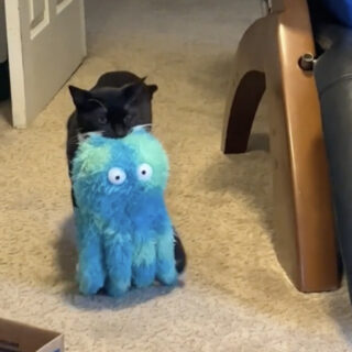 シーモンスターのぬいぐるみをくわえて運ぶハーポ君