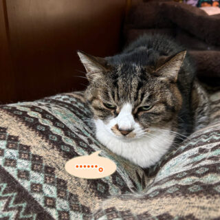 便秘中のルビちゃん