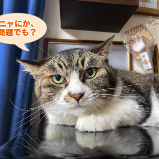 便秘中のルビちゃん