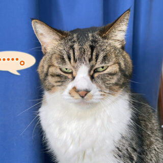 便秘続きで絶不調のルビちゃん