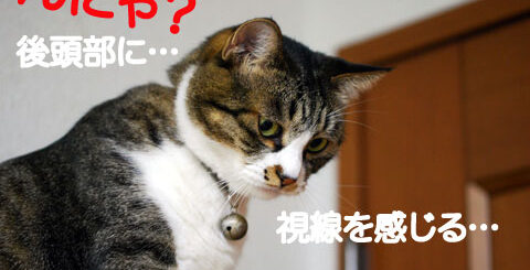 視線を感じるルビアン