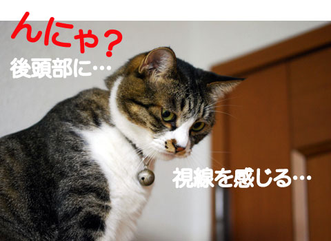 視線を感じるルビアン