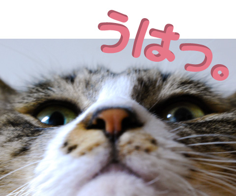 ルビアンの顔面アップ