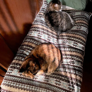 寝室の長座布団の上でまったりしているルビ＋ビビ姉妹