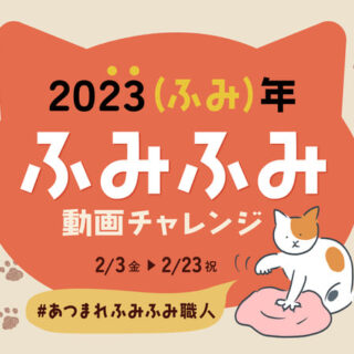 株式会社サンコー「ふみふみ動画チャレンジ」