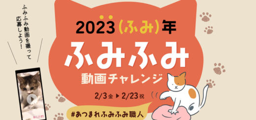 株式会社サンコー「ふみふみ動画チャレンジ」