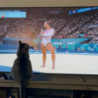 パリ五輪の女子体操選手に夢中のウィニーちゃん