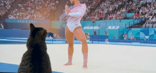 パリ五輪の女子体操選手に夢中のウィニーちゃん