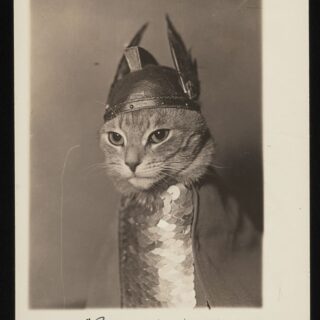 アメリカ議会図書館のデジタルコレクションで公開されているコスプレ姿の猫（ブリュンヒルデ）