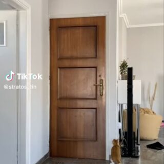 飼い主の帰宅を待ちわびていた茶トラ猫のリアクション