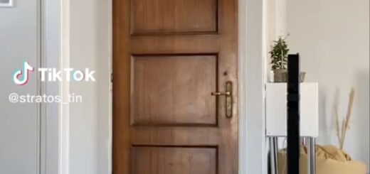 飼い主の帰宅を待ちわびていた茶トラ猫のリアクション