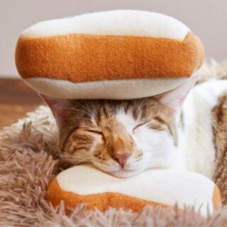 サブウェイ「猫サンド」