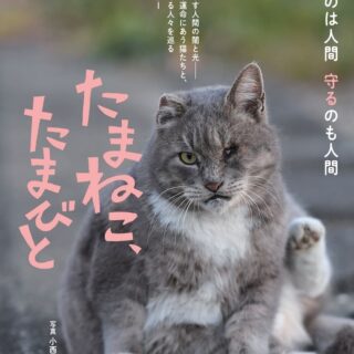 映画『たまねこ、たまびと』