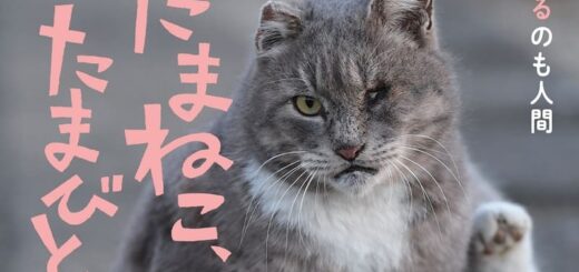 映画『たまねこ、たまびと』