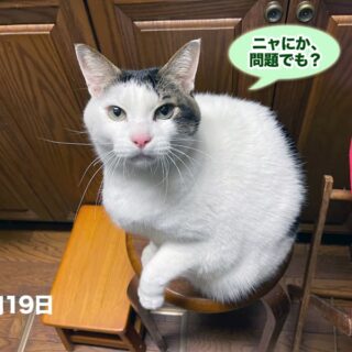 シッポがハゲてしまったトトちん