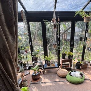 テラスでお昼寝中のトトちん