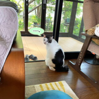 テラスデビューを果たしたトトちん