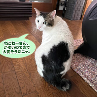 リビングのトトちん