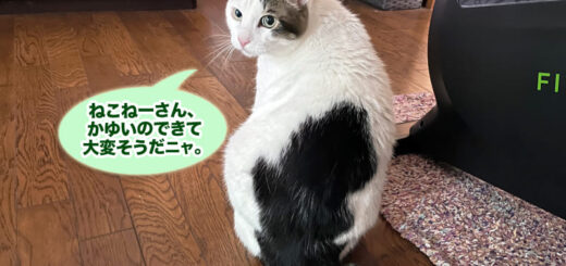 リビングのトトちん