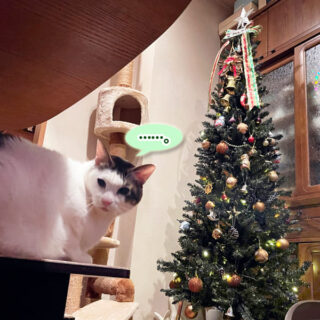 トトちんとクリスマスツリー