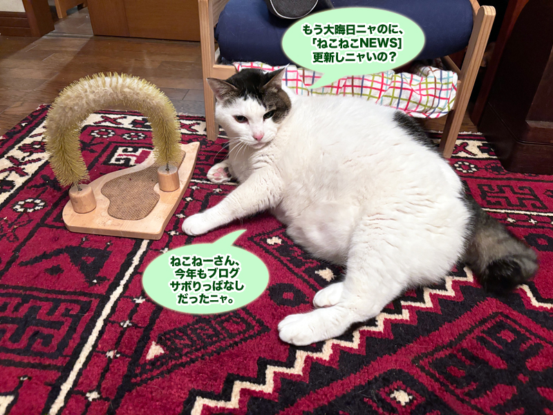 リビングでまったりしているトトちん