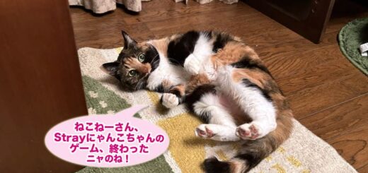 リビングでゴロニャンモードのビビ子さん